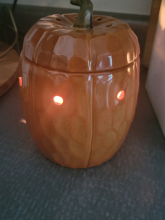 Scentsy Other - Scentsy Ceramic Pumpkin Wax Warmer in Warm Orange